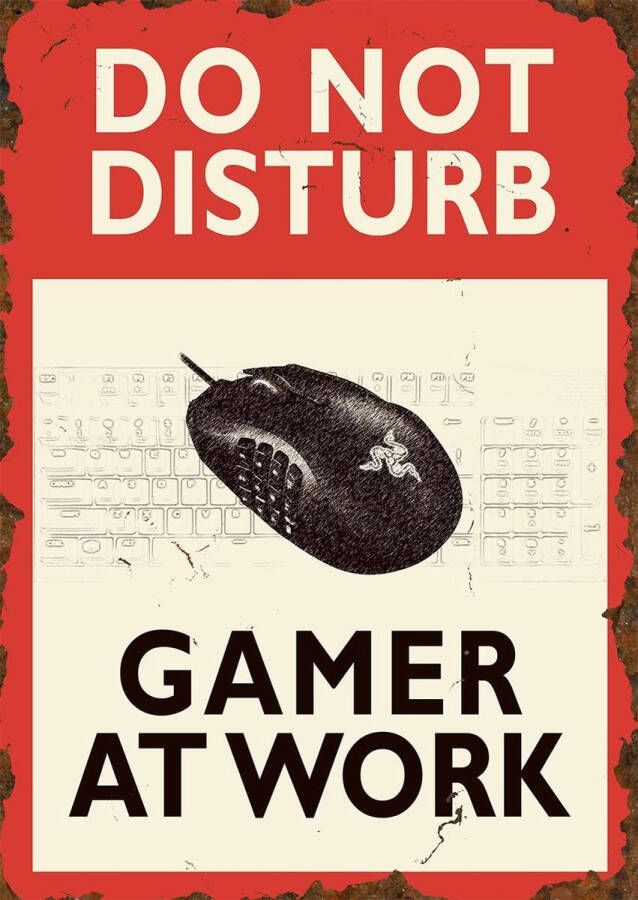 Signs of Time Wandbord 'Do not disturb Gamer at work (PC)