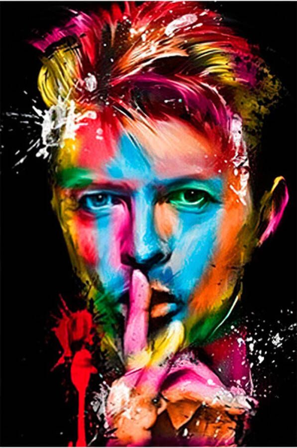 Signs-USA Muziek wandbord metaal David Bowie Colors 20 x 30 cm