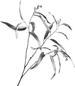 Silk-ka Kunstbloem-Zijde Eucalyptus Tak Zilver 98 cm