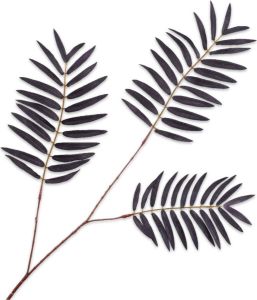 Silk-ka Kunstbloem-Zijde Palm Tak Zwart 83 cm Voordeelaanbod Per 2 Stuks