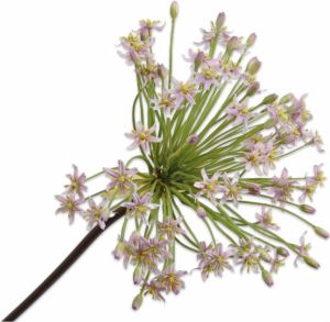 Silk-ka Kunstbloem-Zijden Bloem Allium Steel Lavendel-Roze 91 cm