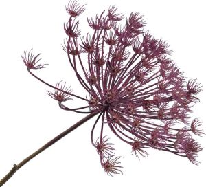 Silk-ka Kunstbloem-Zijden Bloem Allium Steel Roze-Paars 110 cm