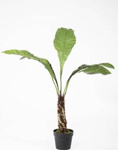Silk-ka Kunstplant Anthurium Superbum op stam Zijde Groen 140 cm