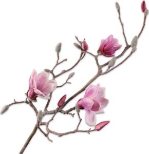 Silk-ka Zijden Bloem-Kunst Bloem Magnoliatak Paars Lengte 108 cm