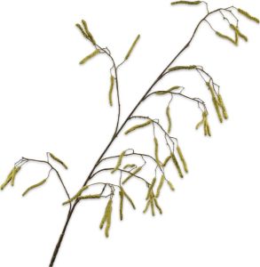 Silk-ka Zijden Bloem-Kunstbloem Hazelaar Tak Groen 129 cm