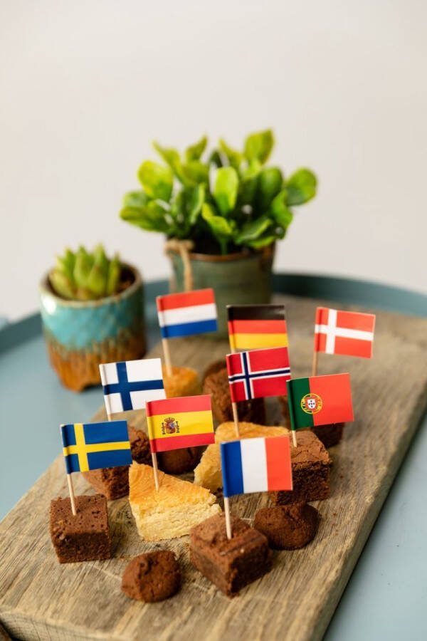 SilShop 50x Cocktailprikkers Internationaal Hapjes Cocktail Tapas Zomer Terras