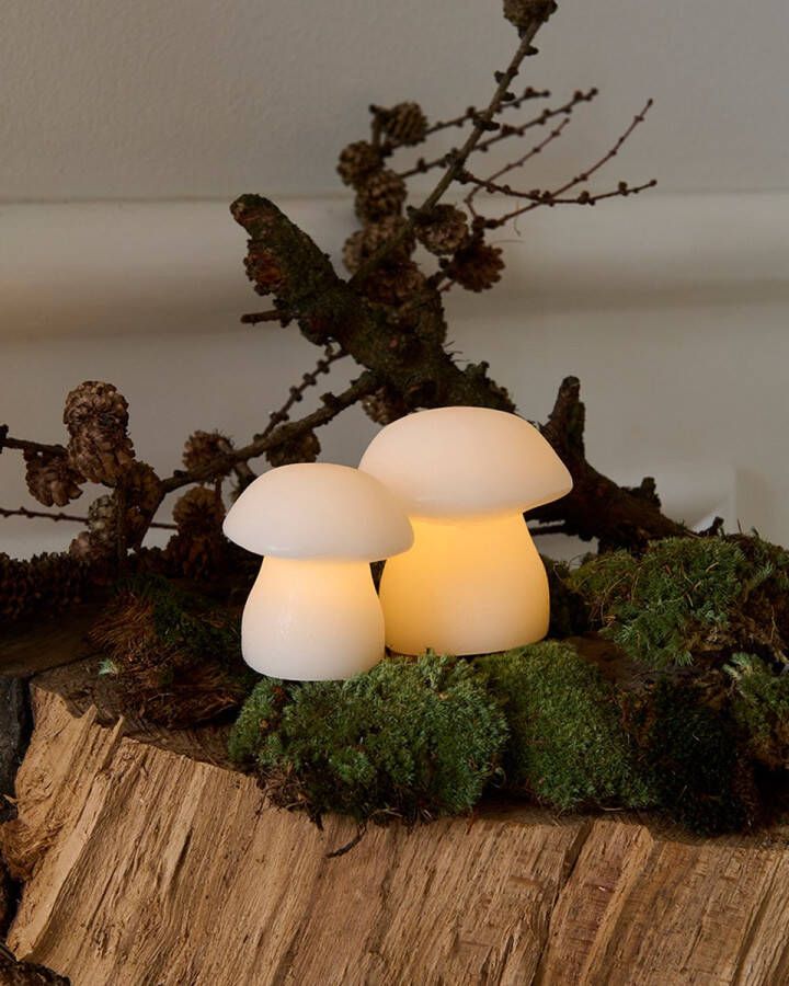 Sirius Home Sirius Elvina paddenstoelen LED lichtdecoratie najaar kerst set van 2 verschillende (H 7 8 + 9 5 cm) wit wax op batterijen