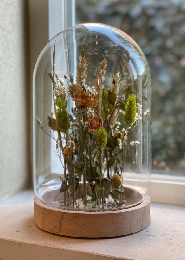 Sizland Dezign Droogbloemen in stolp Still Flower DIY Hout & Glas Roze Rood & Groen