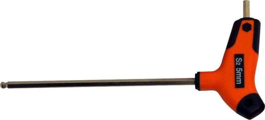 Skandia T-Greep Inbussleutel BZ 5 mm