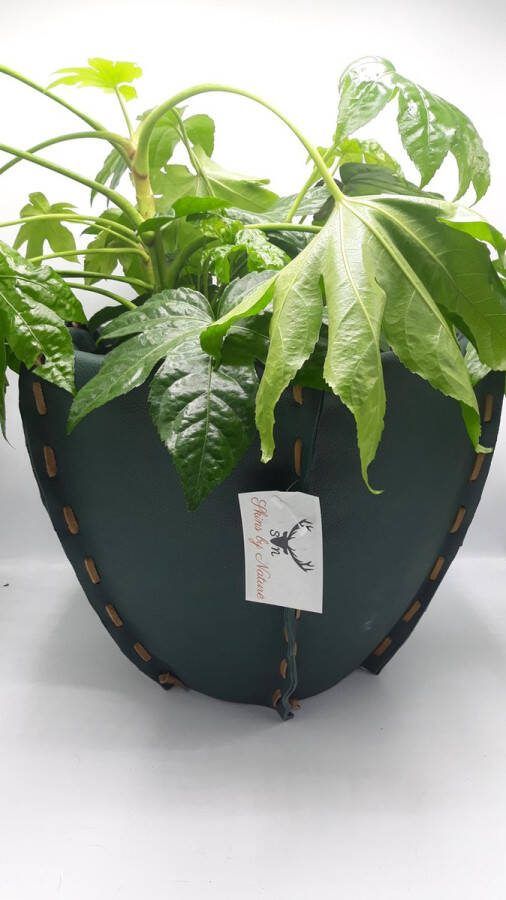 Skins by Nature Bloempot koeienhuid