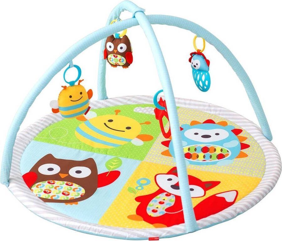 Skip hop Explore and More Funscape Activity Gym