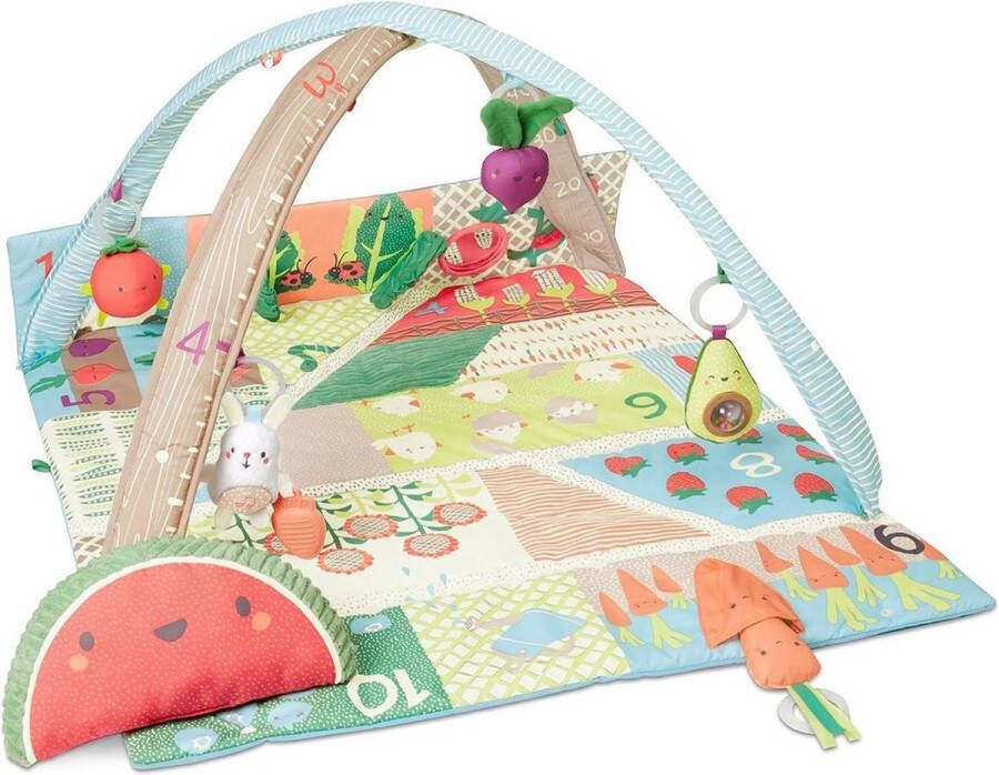 Skip hop Farmstand Grow & Play Activity Center Speelkleed