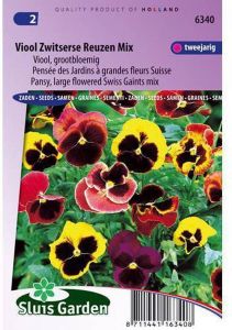 Sluis Garden Grootbloemige viool bloemzaden – Viool Zwitserse reuzen mix