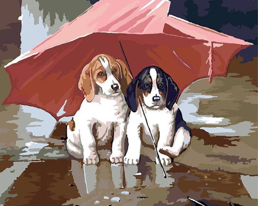 SNN Create Paint by number voor volwassenen – schilderen op nummer volwassenen – Hondjes onder paraplu Hond puppie Dieren – hond – diy – zonder frame 40x50cm