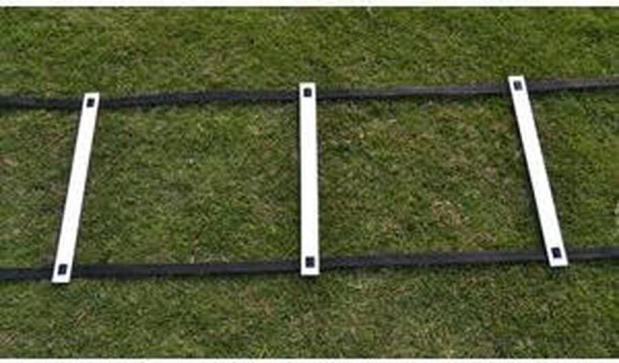 SoccerConcepts Taktisport Loopladder 8 meter lang Verstelbaar Met draagtas Voetbal trainingsmateriaal