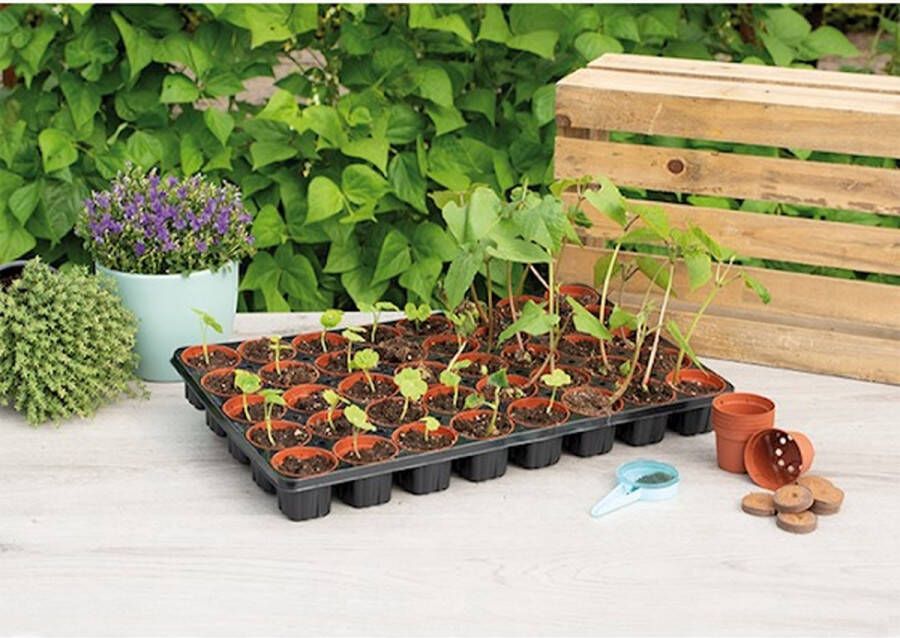 Sogo Kweekbak Met 40 Potjes Moestuin Groenteplanten Fruitplanten Kruidenplanten Bloemen Garden Select