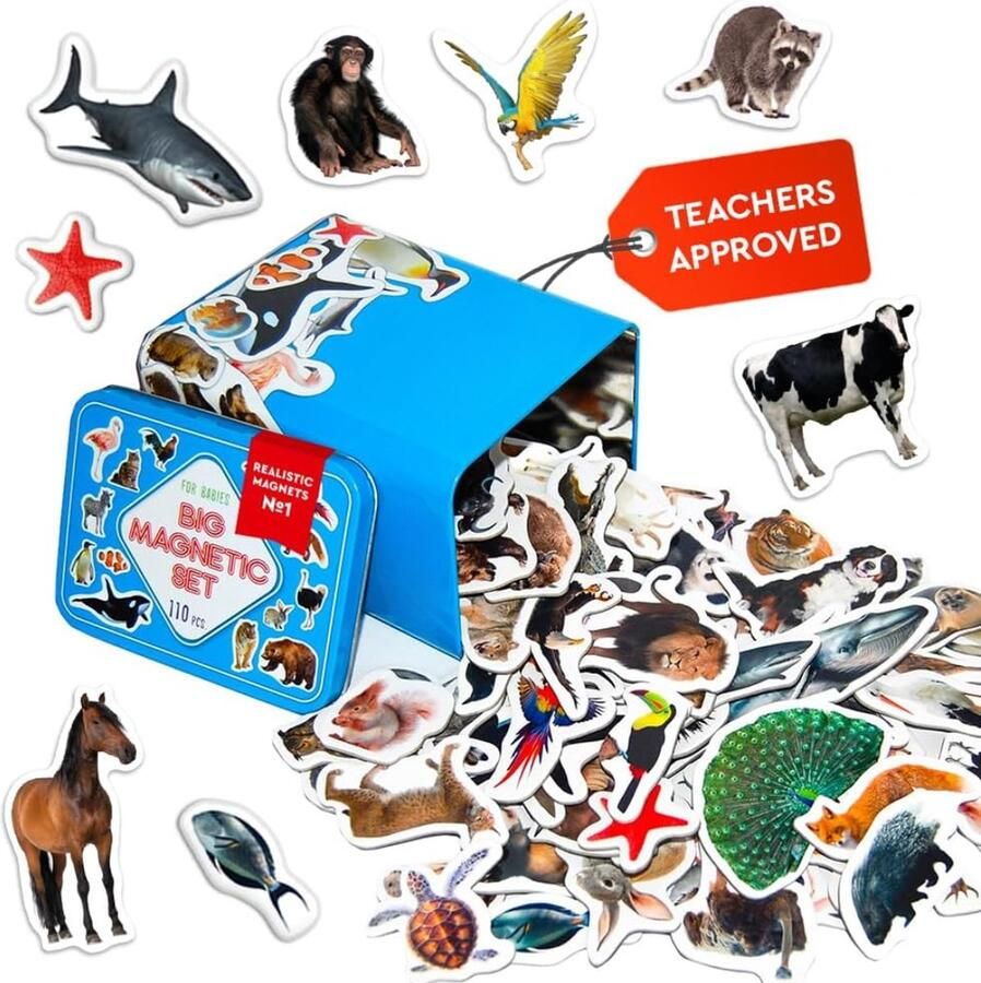 Solacis Magneet speelgoed Magneetspeelgoed Magneet speelgoed constructie Magneet speelgoed bouwen blokken Must have!