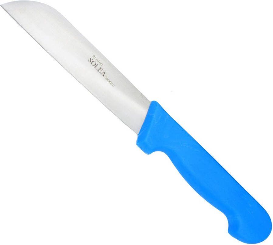Groentemes RVS Lemmet 15 cm Blauw Kunststof Heft