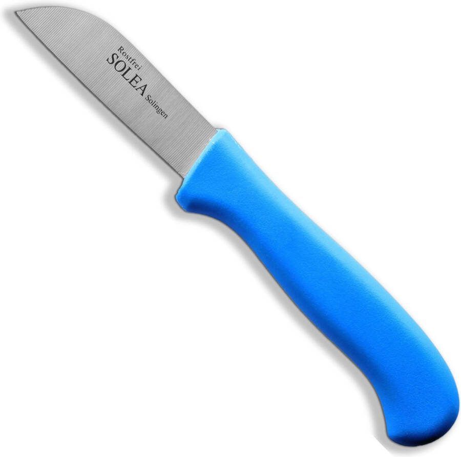 Solea Groentemes RVS 8.5 cm Blauw Kunststof Heft