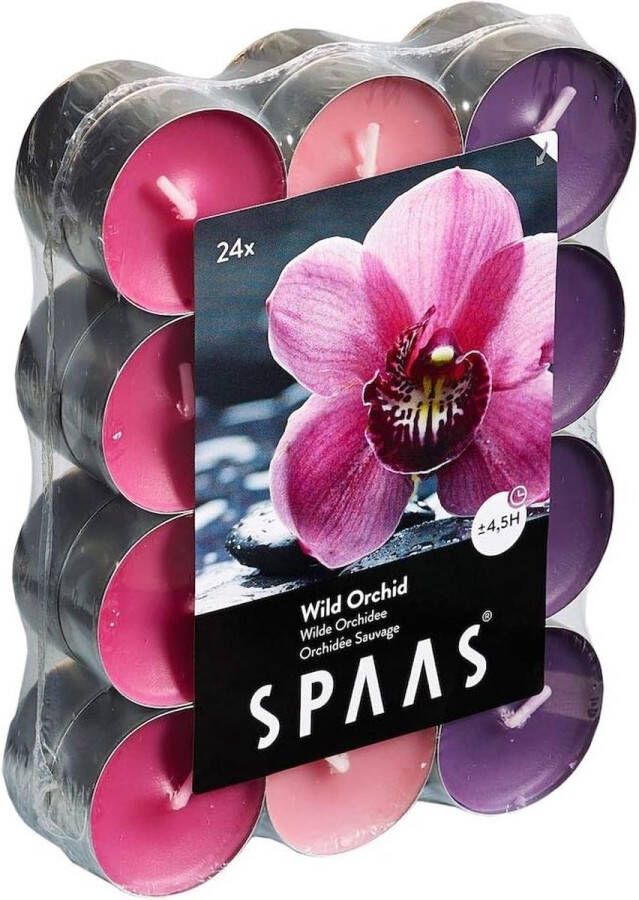 ‎Spaas 24 geurende theelichtjes verschillende kleuren ± 4 5 uur Wild Orchid [Energieklasse A+]