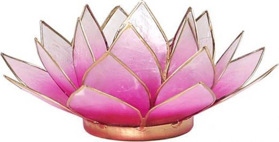 Spiru Lotus Sfeerlicht Roze-Lichtroze Goudrand
