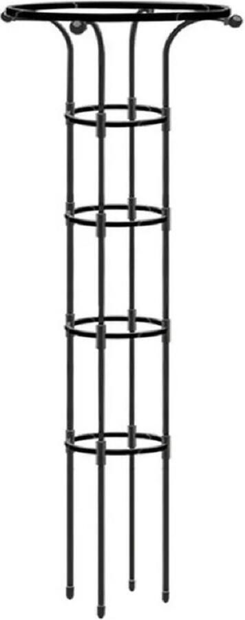 SQIZZ Plantenklimrek 'fontein' 5 niveaus 155x20cm (trellis voor klimplanten bloemen wijnstok druiven etc.)