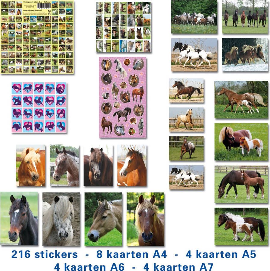 Stammetjes Paarden pakket Paarden Stickers Paarden Kaarten en Paarden Posters voor de echte paarden liefhebbers
