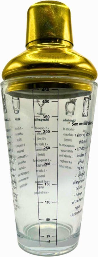 Stegger Cocktail Shaker 480 ml Goud Glas RVS Luxe Baraccessoire