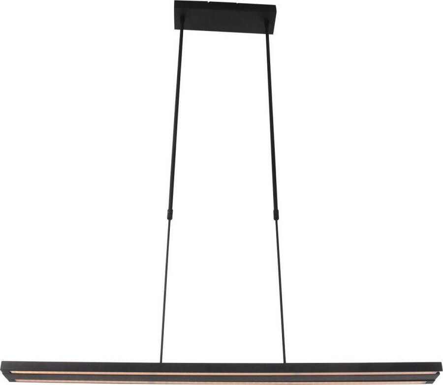 Steinhauer Motion Hanglamp Modern Zwart 2 jaar garantie