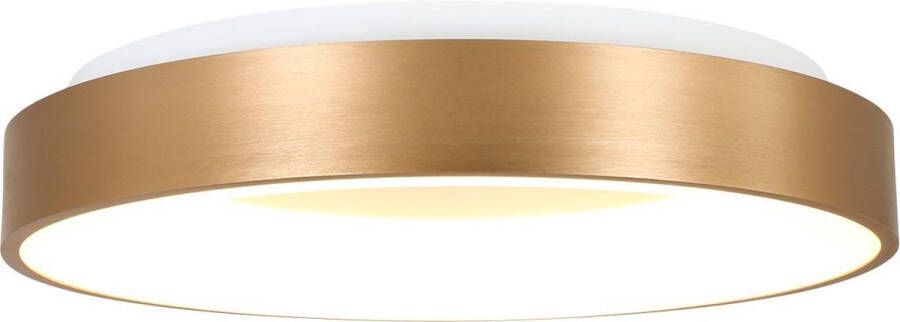 Steinhauer Plafondlamp Ringlede Ø 48 cm 2563 goud