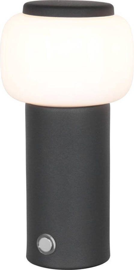 Steinhauer Très petit tafellamp dimbaar 22cm hoog met glas staal
