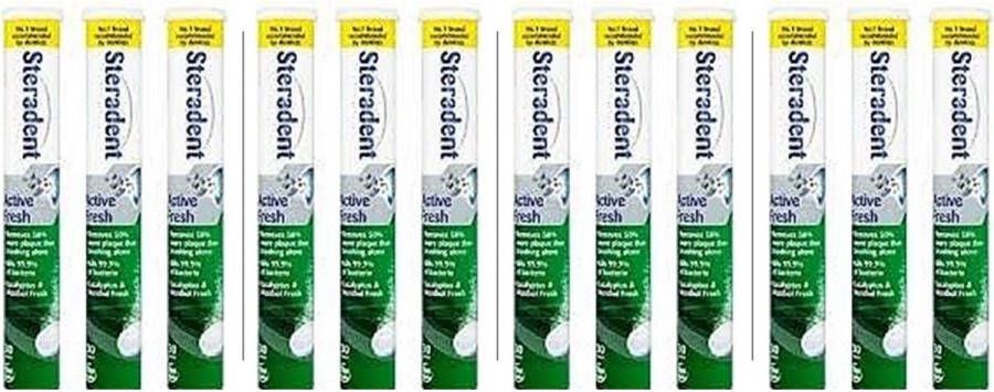 Steradent Kunstgebit Reinigingstabletten Active Fresh 12 x 30 Tabletten = 360 stuks Voordeelverpakking