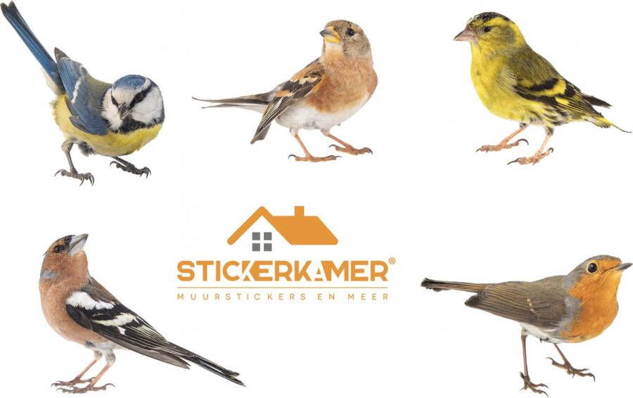 Stickerkamer Muursticker Vogels Realistisch 5 stuks Passerine Zangvogels Wanddecoratie Muurdecoratie