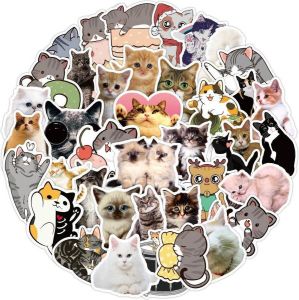 Sticklr.nl Schattige katten stickers | vinyl laptop stickers |Bullet journal | 50 stuks