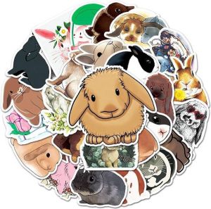 Sticklr.nl Stickerset schattige konijnen | Rabbits | Knaagdieren | Bullet journal | 50 stuks