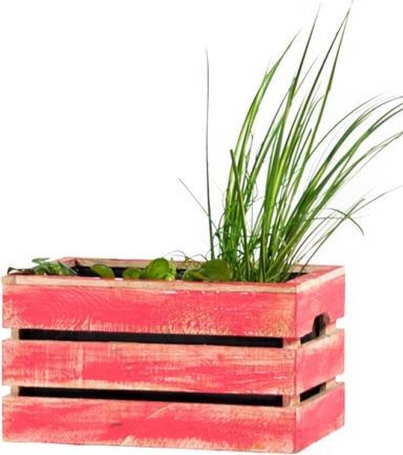 Stijf handmade Waterplanten kist red Balkon Terrasvijvertje Minivijver Hout