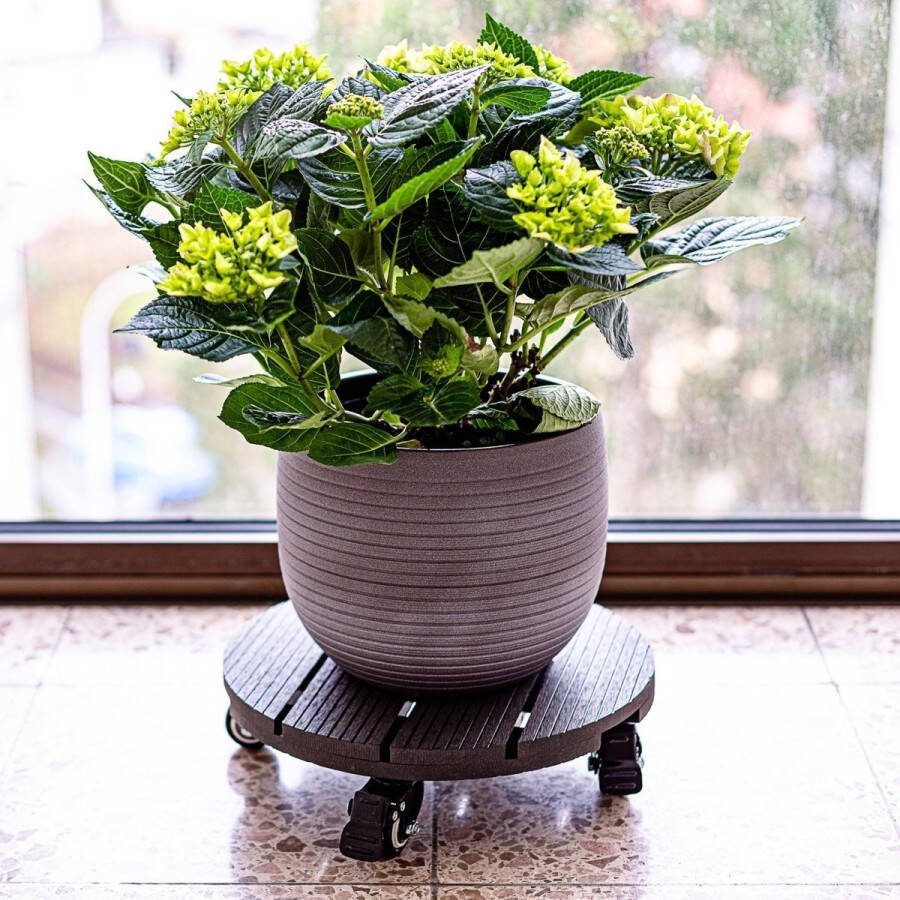 Stilista Plantentrolley Trolley met wieltjes Rond Ø 30 cm Max. belastbaar tot 100 kg Bruin