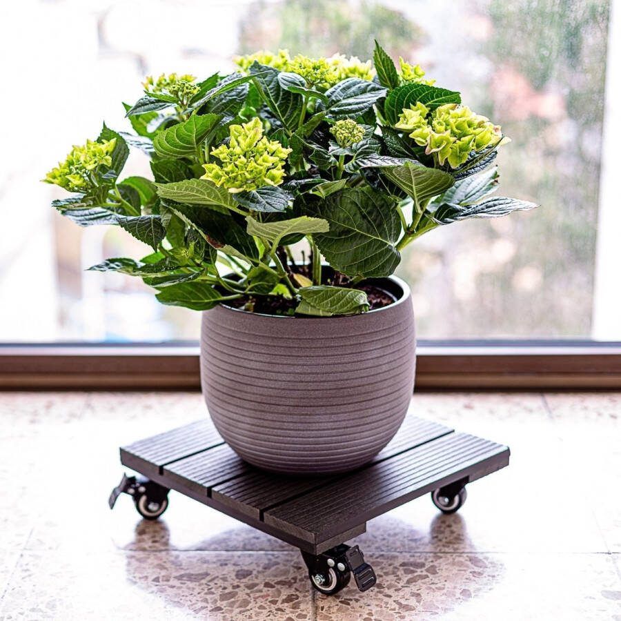 Stilista Plantentrolley Trolley met wieltjes Vierkant 30 x 30 cm Max. belastbaar tot 100 kg Zwart