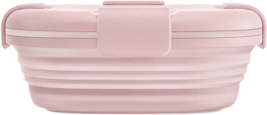 Stojo Box Vershouddoos Lunchbox met Deksel 700 ml Opvouwbaar Herbruikbaar Carnation Doorzichtig