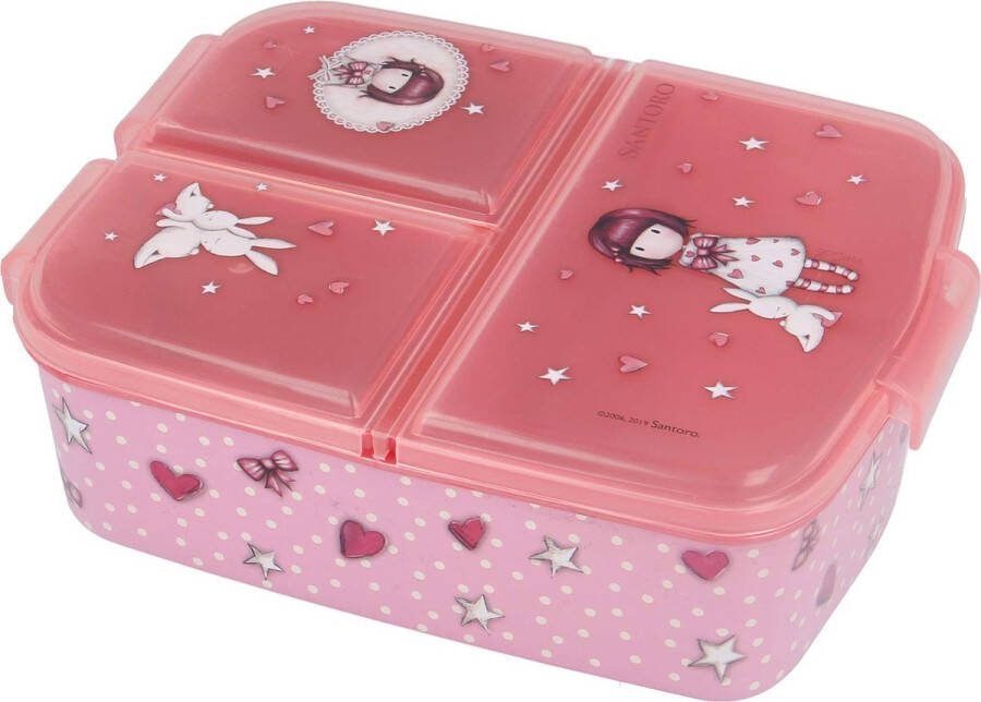Stor Roze lunchbox voor meisjes Speciaal voor kinderen School broodtrommel met 3 vakken Met veiligheidssluiting BPA vrij Kunststof