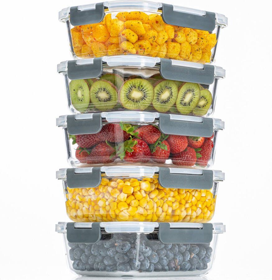 Stosh Meal Prep Bakjes Vershoudbakjes Diepvriesbakjes Luchtdicht 5 Stuks 1L BPA Vrij Glas