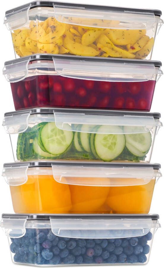 Stosh Vershoudbakjes Meal Prep Bakjes Lunchbox Diepvriesbakjes Vershouddoos 5 Stuks 1050ML PLASTIC BPA vrij