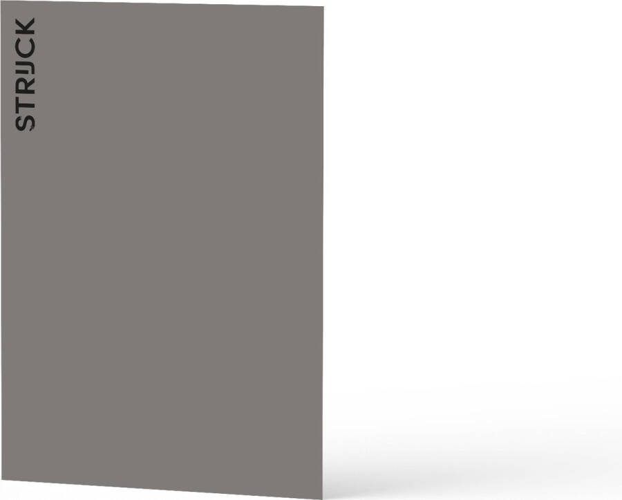 STRIJCK Muurverf Kleurtester Cacao 061N-3