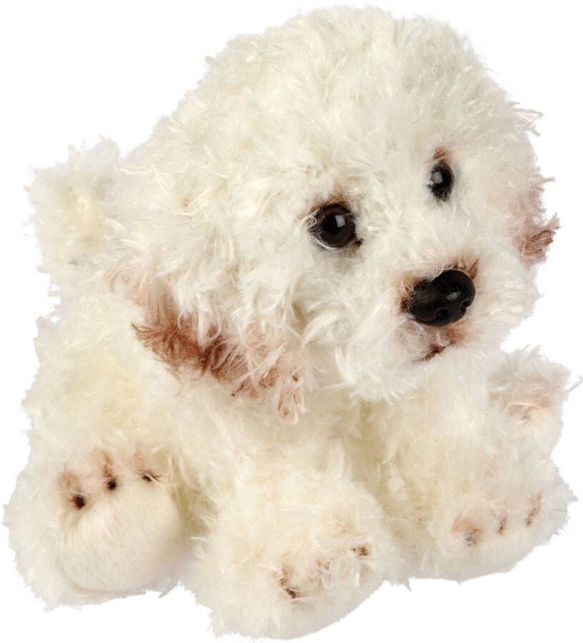 Suki Gifts Pluche knuffeldier hond Bichon Frise creme wit 13 cm huisdieren thema Knuffel huisdieren