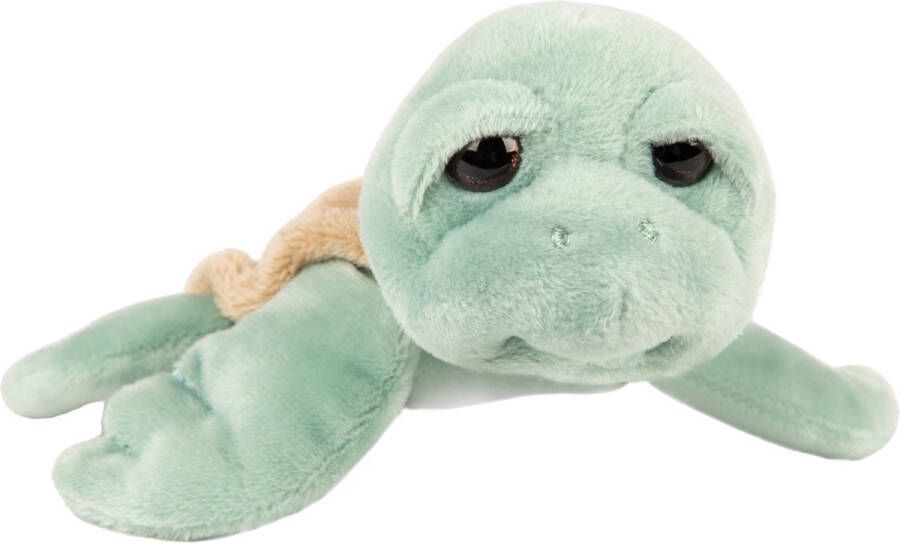 Suki Gifts pluche zeeschildpad Jules knuffeldier cute eyes mintgroen 14 cm Knuffel zeedieren