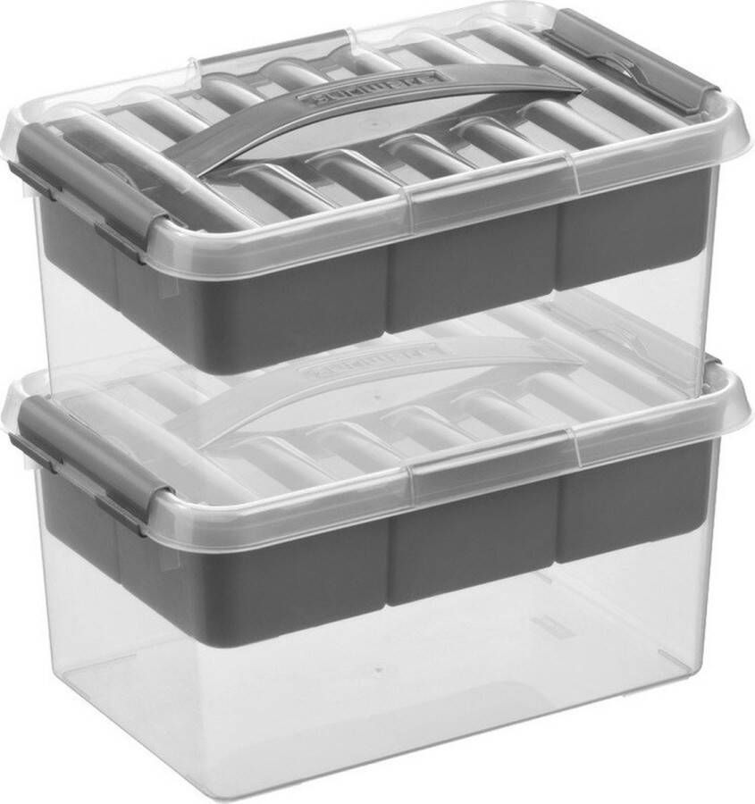 Merkloos Sans marque 2x Sunware Q-Line opberg boxen opbergdozen met vakverdeling vakken tray 6 liter 30 x 20 x 14 cm kunststof Gereedschapskist Opslagbox Opbergbak kunststof transparant zilver