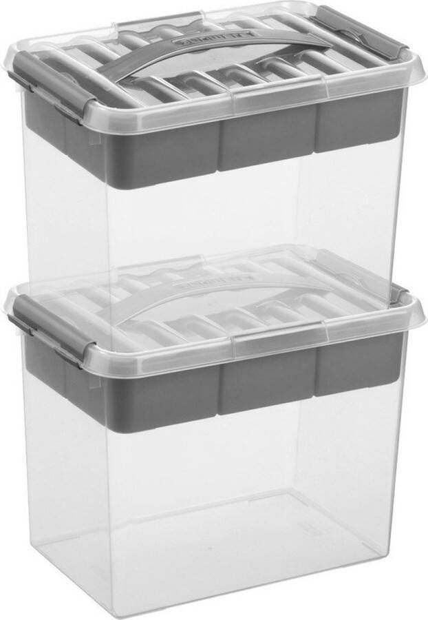 Merkloos Sans marque 2x Sunware Q-Line opberg boxen opbergdozen met vakverdeling vakken tray 9 liter 30 x 20 x 22 cm kunststof Gereedschapskist Opslagbox Opbergbak kunststof transparant zilver