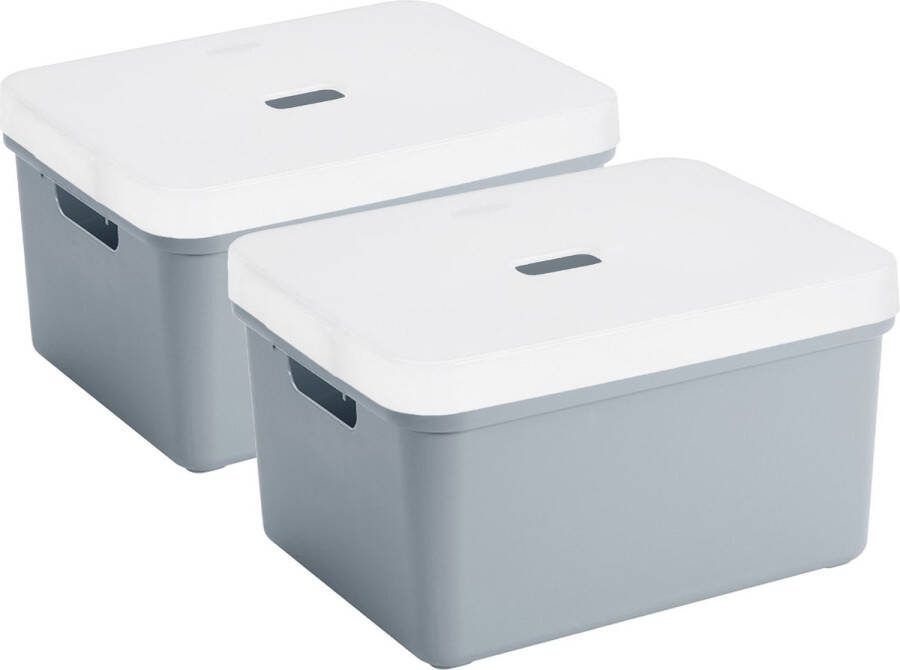 Sunware 2x stuks opbergbox mand kist van 32 liter blauwgrijs kunststof met transparante deksel 45 x 35 x 24 cm