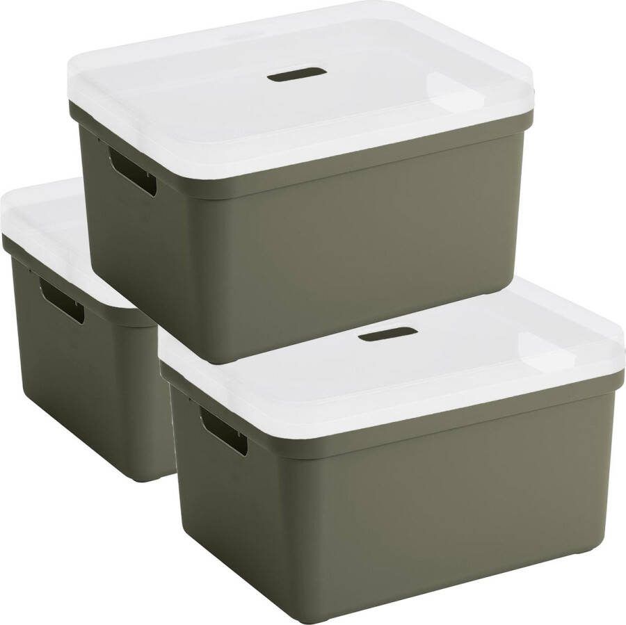Sunware 3x opbergbox mand kist van 32 liter donkergroen kunststof met transparante deksel 45 x 35 x 24 cm