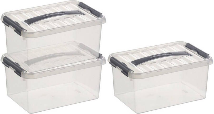 Merkloos Sans marque 3x Sunware Q-Line opberg boxen opbergdozen 6 liter 30 cm kunststof- Opslagbox Opbergbak kunststof transparant zilver